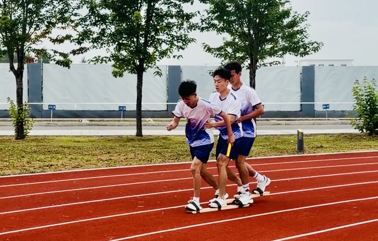 手机买球app